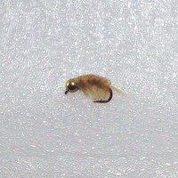 Tungsten Ice Flies Scud Wax Worm/Gold
