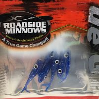 Roadside Minnows Micro Minnow 1